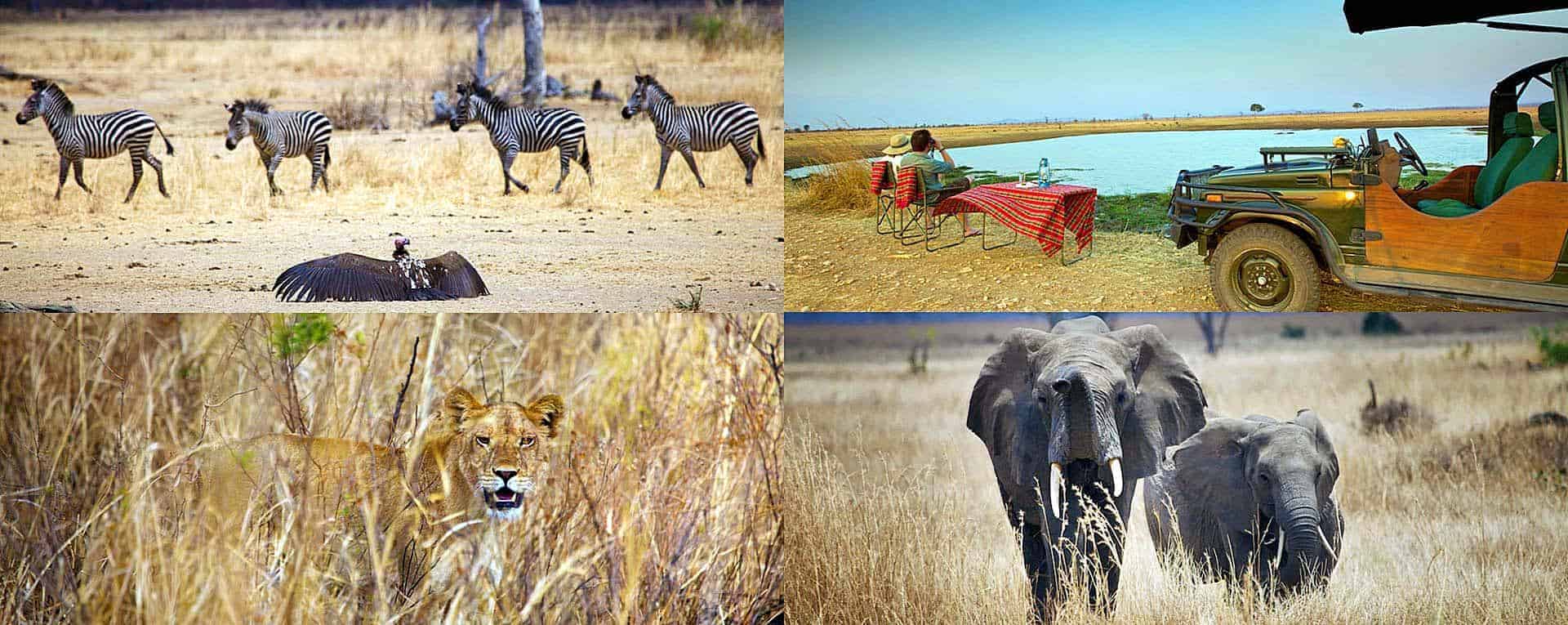 mikumi safari tanzania