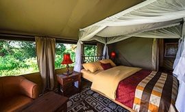 ndutu safari lodge contacts